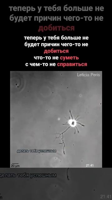Ну сколько вам еще надо доказательств, чтобы начать работу над собой.