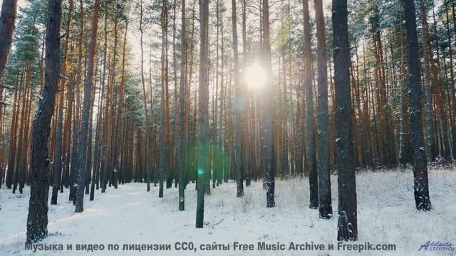 Поля под такой музыкой заставляют забыть про время - Лебедь-шипун -- POVALISHIN DIVISION -- Выпускай