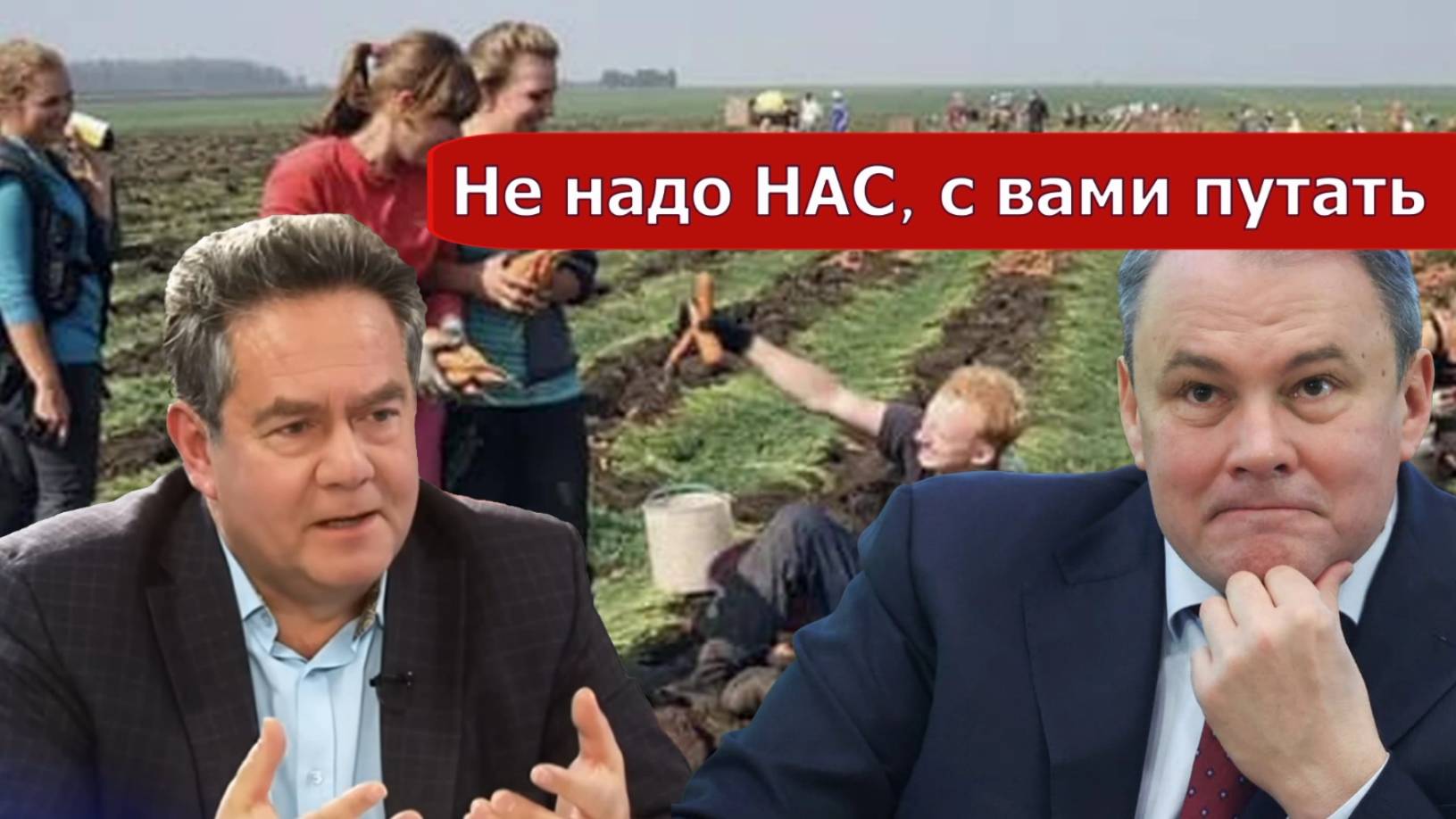 Николай Платошкин о ЗАЯВЛЕНИИ Петра ТОЛСТОГО_