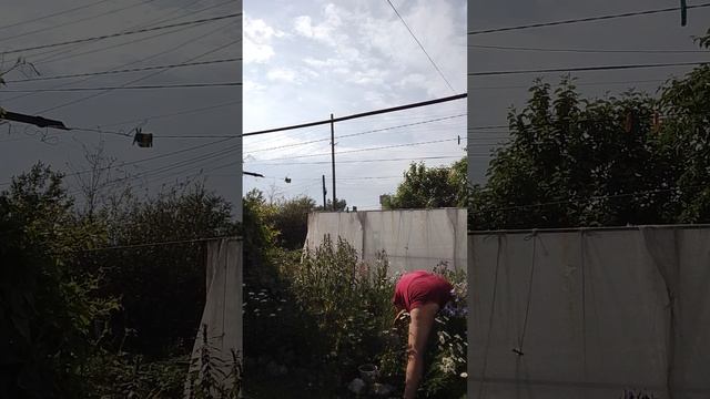 Вот как проходят мои выходные.