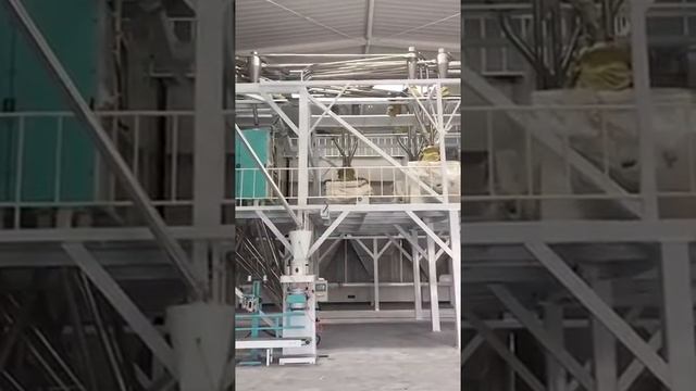 1000002289.mp4