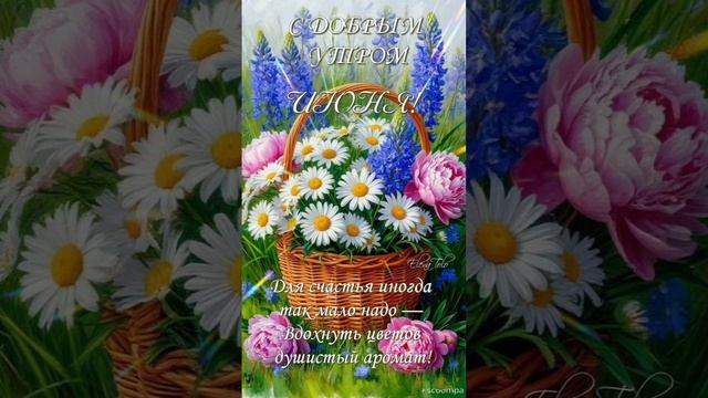 Доброе утро 💖Отличного настроения, бодрости и оптимизма🌝💝