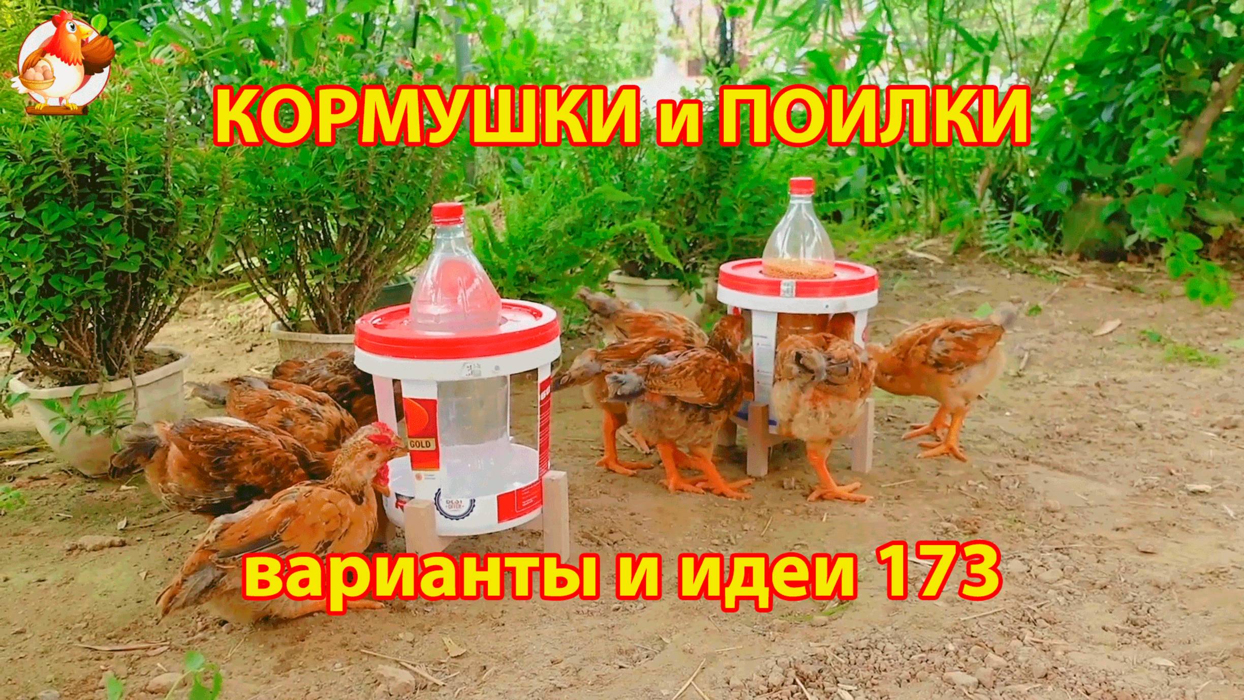 Кормушки и поилки для кур своими руками (173) 🪚✂️ Пошаговая инструкция как сделать 🐔 🐓❣️