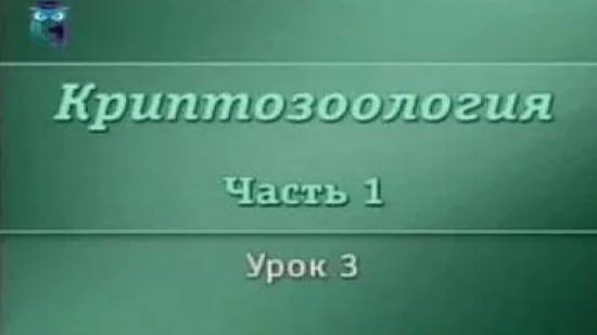 Криптозоология. Урок 1.3. Озерные монстры
