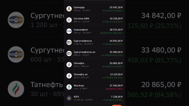 Мой портфель акций российских компаний на 2024 год 😎💼