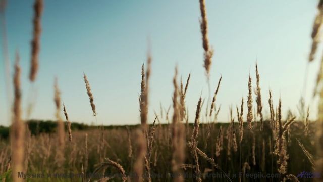 Мелодия, которую играют только духи! - Big Green -- Wax Lyricist -- The Wax Lyricist
