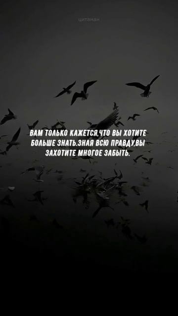 #871 Цитата дня. Мотивация.