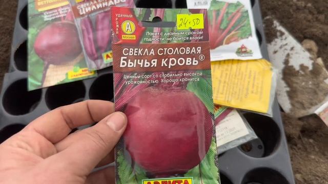Огородные дела. Сею сею сею 🍀🍅🫑🫛🥦🥬🍆🥒🥕#огород