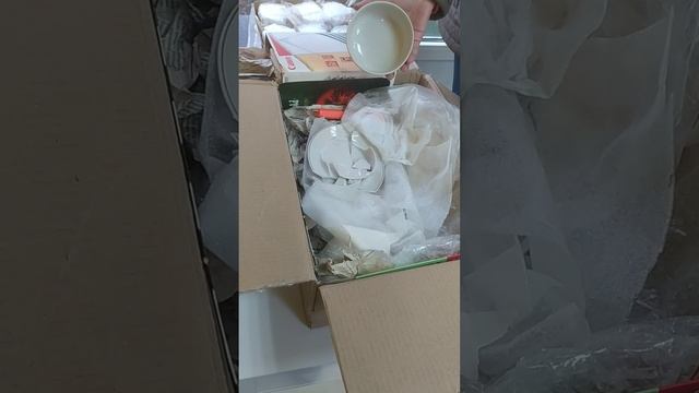 VID_20250609_110632.mp4