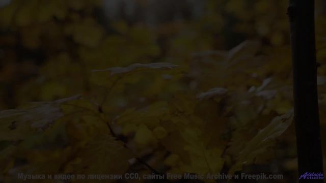 Этот клип уничтожит стресс и вернёт вкус к жизни - Still-True -- Ketsa -- Summer With Sound