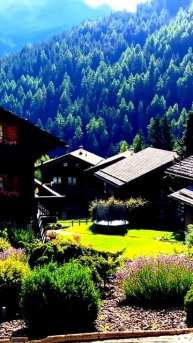 Что попало в кадр