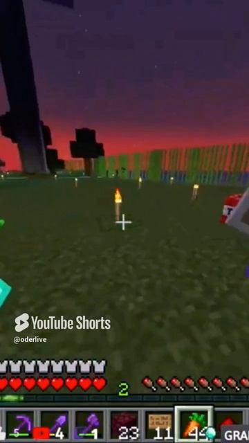 Minecraft Лучшее #969