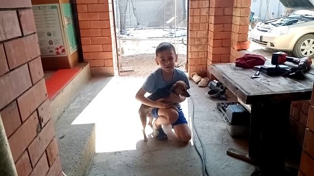 VID_20250613_151906.mp4