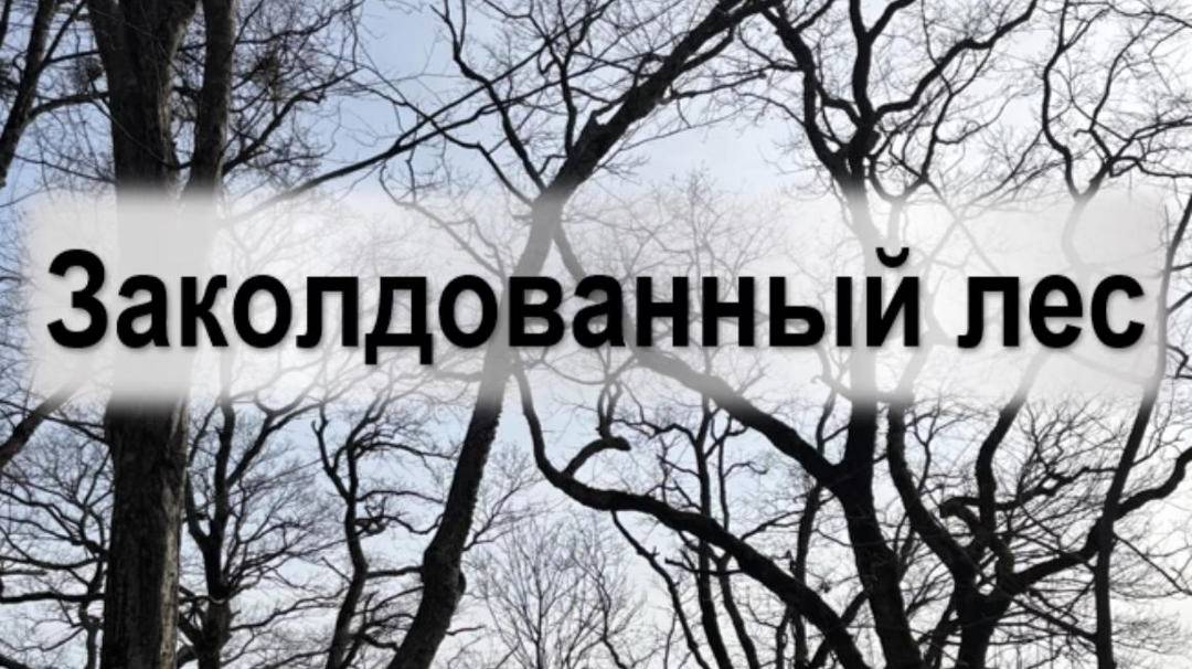 Бытхинский лес