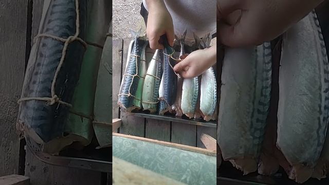 Скумбрия в Смокере, Копчёная рыба