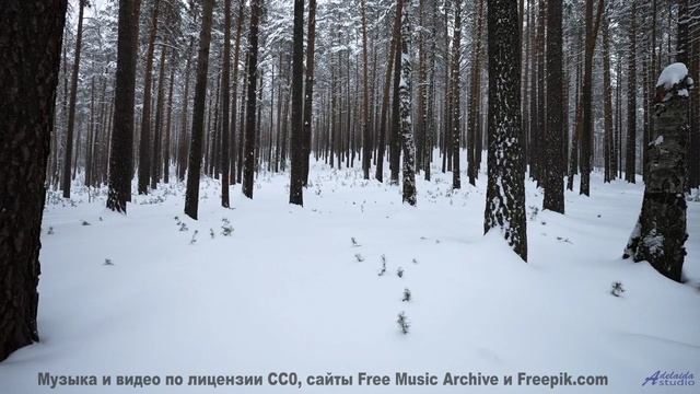 Этот клип покажет, как звучит настоящая свобода - Dos Caras (XXXVII) -- opo -- Estudios Indigeniform