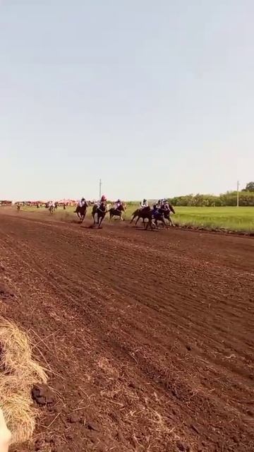 Сабантуй