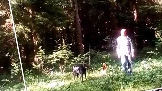 С Джерри в лесу❗