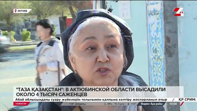 Около 4 тысяч саженцев высадили в Актюбинской области