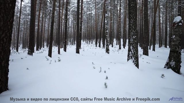 Видео, которое заставит вашего тестя расплакаться! - Should Have Been Me -- One Man Book -- Brand Ne
