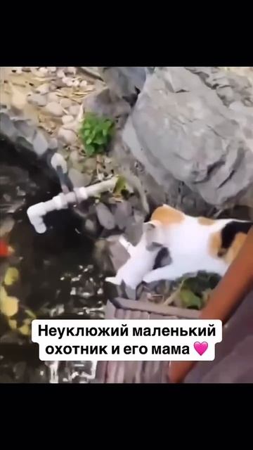 пушистый рыбак