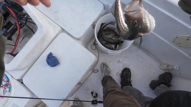 ОТКРЫТИЕ СЕЗОНА ЖИДКОЙ ВОДЫ, ЛОВЛЯ МИНТАЯ | МОРСКАЯ РЫ?