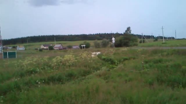 Езда по приборам :D Или борьба с борщевиком