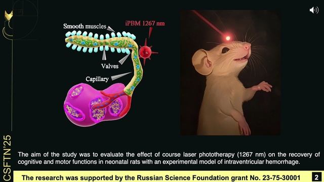 Phototherapy of the nervous system of newborn rats with intraventricular hemorrhage