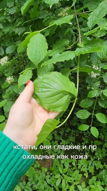 мы много знаем, но мало чувствуем
