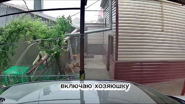 1000201738.mp4