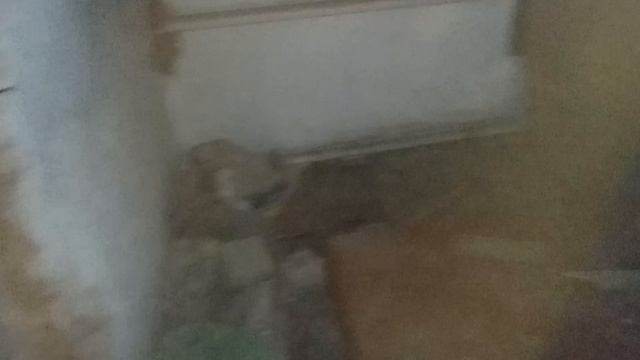 Цаплязавр и заброшка