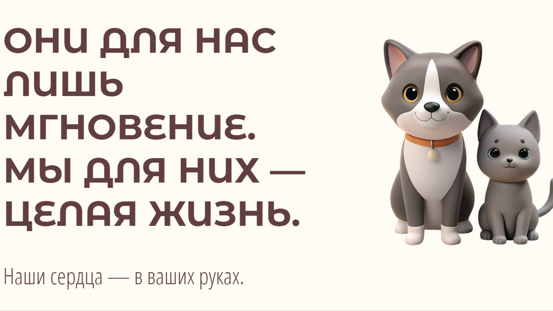 Сайт для подбора питомцев из приютов