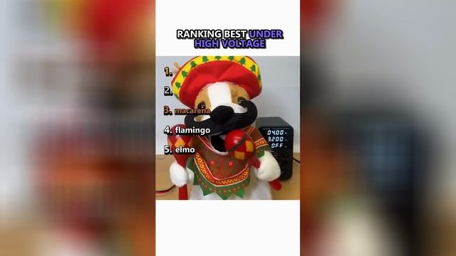 Best video of Tik Tok! 13.06.25 / 08