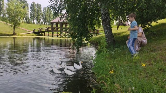Спасск. На пруду