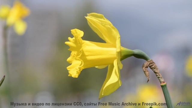 Звуки, создающие материю из пустоты - наука или магия - Parasite -- Nihilore -- Best of 2020-2024