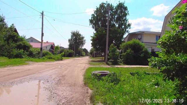 Мышино в Йошкар-Ола июнь 2025