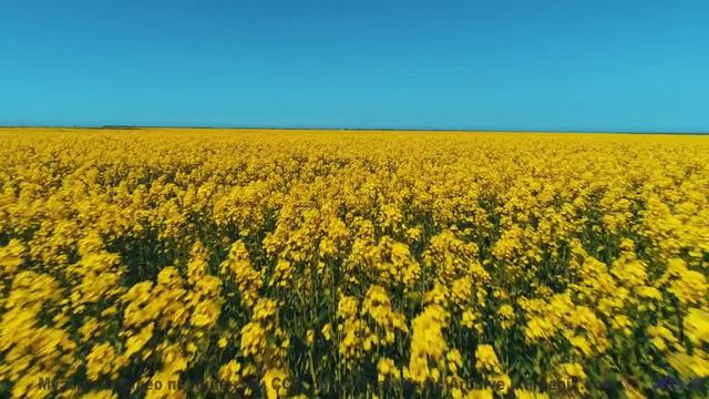 Горы звучат иначе с этим треком! - Shining Ending -- Soft and Furious -- Bae