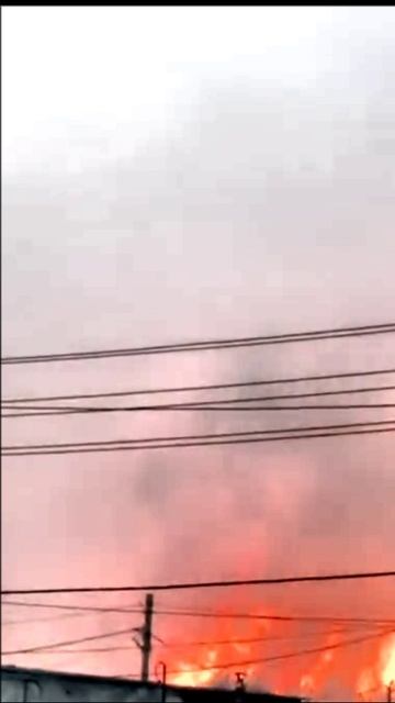 Лесные пожары подобрались к городу Циолковский в Амурской области