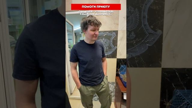 Спасение кошки-подушки: от улицы до дома за один день
