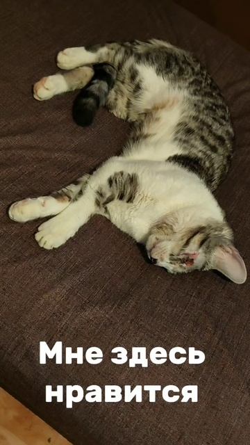 Теперь я Кутузов.mp4