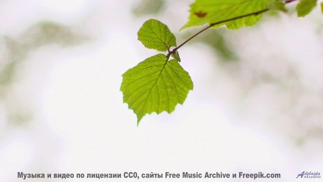 Зачем искать больше Вот оно! - Autumn Leaves -- Kirk Osamayo -- Season Two (GREEN)