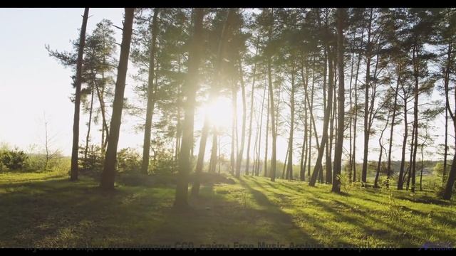 Музыка ведёт туда, где начинается личный рай - Ode to a Dandelion -- Glad Rags -- Wonder Under