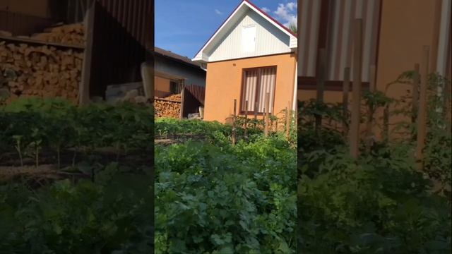 1000412084.mp4