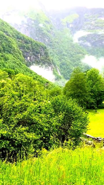 Камера раскрыла тайну