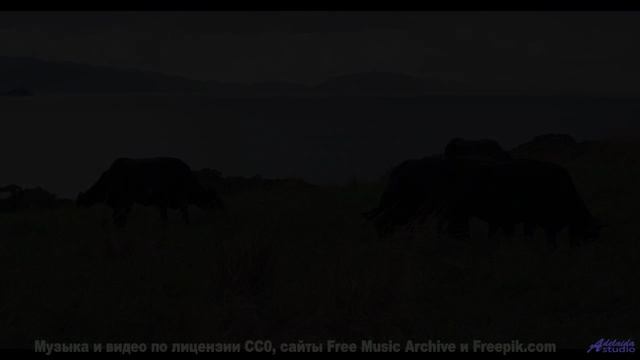 Музыка и виды вместе стирают реальность - Sweet And Sour Sanich -- Podington Bear -- Haplessly Happy