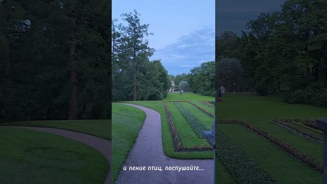 Белые ночи в Екатерининском дворце — это...