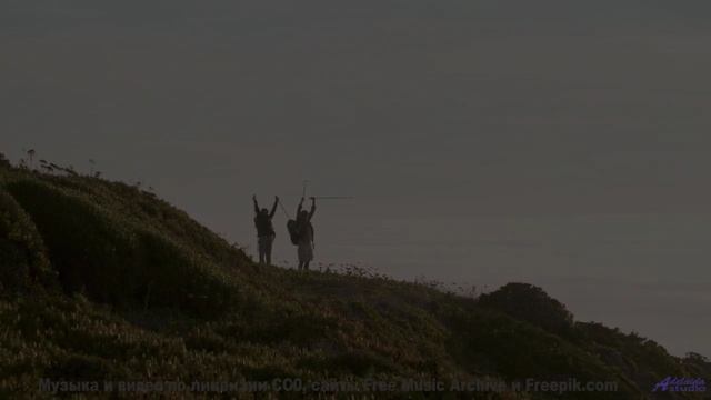 Мелодия раскрывает тайные тропы в сердце лесов - Corporate Advert -- Scott Holmes Music -- Corporate