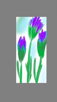 васильки. картинка без звука.