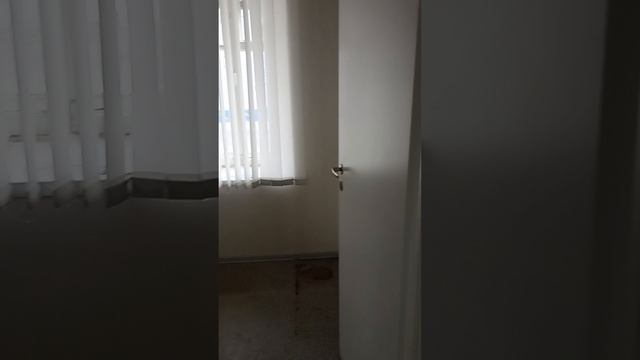 VID_20250320_160714