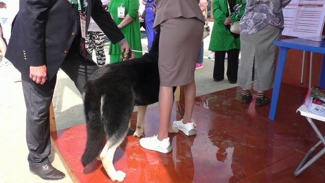 Падишах Великий